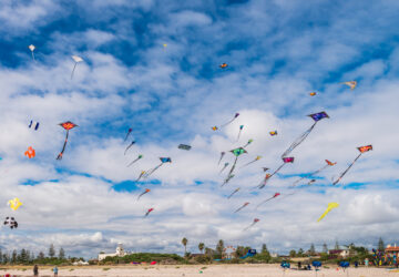 Kite Festival in India